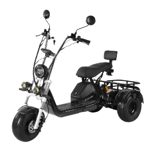 ТРИЦИКЛ X6 TRIKE - изображение 1